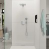 Hansgrohe Fixfit pripojka hadice E s držiakom sprchy chróm 26889000