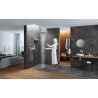 Hansgrohe Rainfinity prípojka hadice Porter 500 a poličkou L s držiakom sprchy sklo/matná biela, 26843700