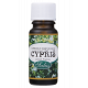 SALUS CYPRUŠTEK 10ml