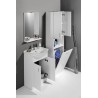 skrinka umývadlová s umývadlom SIMPLEX ECO 55 53x83,5x30,7cm