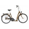 KENZEL SITNGO 1 sp Brown 26" 2025