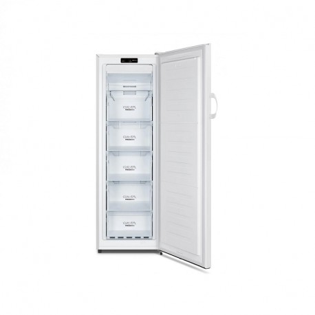 GORENJE FN4172CW