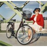 Mestský bicykel KENZEL SITNGO 1sp beige 20" 2026