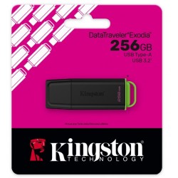 Kingston DataTraveler Exodia 256GB