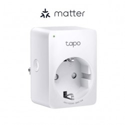 TP-Link P100M