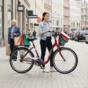 Mestský bicykel KENZEL AVENUE Classic 3spd Bordo 26" 2026